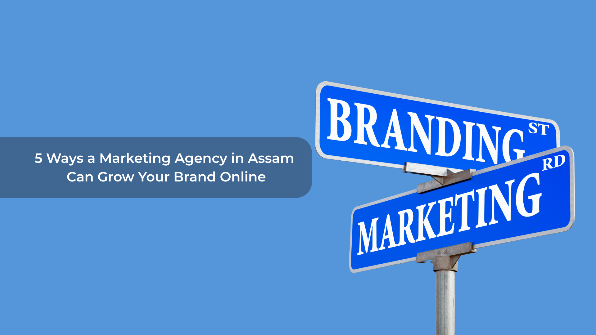 5 Ways a Marketing Agency in Assam Can Grow Your Brand Online